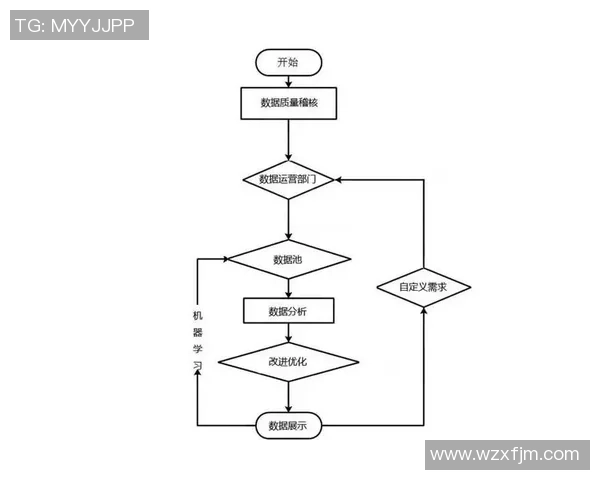 西安乒乓球队运营模式创新探索与发展路径分析